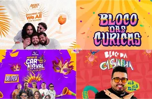 Carnaval 2025: Confira  a programação dos bloquinhos e prévias em Teresina (Foto: Reprodução)