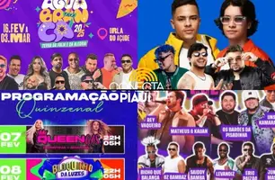 Carnaval 2025 (Foto: Reprodução)