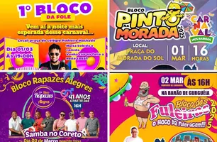 Carnaval nos Bairros leva festa gratuita e diversidade musical a Teresina (Foto: Divulgação)