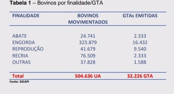 Com status livre de aftosa, mercado bovino do Piauí cresce 24% para outros estados