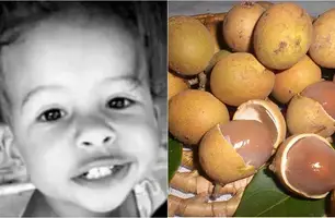 Criança de dois anos morre engasgada com caroço de pitomba em município no Piauí (Foto: Reprodução)