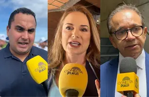 Deputados se manifestam sobre encontro do PSD e MDB (Foto: Conecta Piauí)