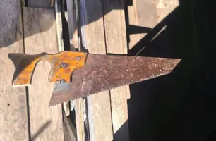 Homem é preso por tentar matar companheira com serrote no Amazonas (Foto: Reprodução)