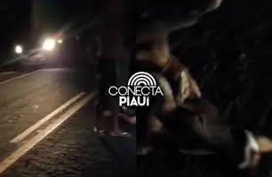 Homem sofre acidente ao colidir moto em vaca na PI-113 em Cabeceiras (Foto: Reprodução)