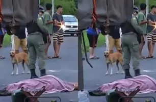 Idoso morre atropelado na zona Sul de Teresina (Foto: Reprodução)