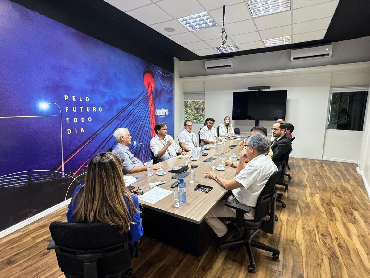Ivanária Sampaio discute melhorias no fornecimento de energia para Esperantina