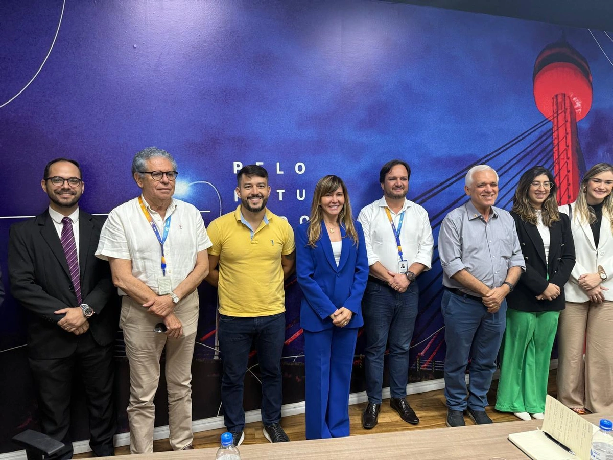 Ivanária Sampaio discute melhorias no fornecimento de energia para Esperantina