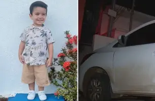Menino de 2 anos morre após ser esquecido dentro de carro por dona de creche em GO (Foto: Reprodução/Redes Sociais)