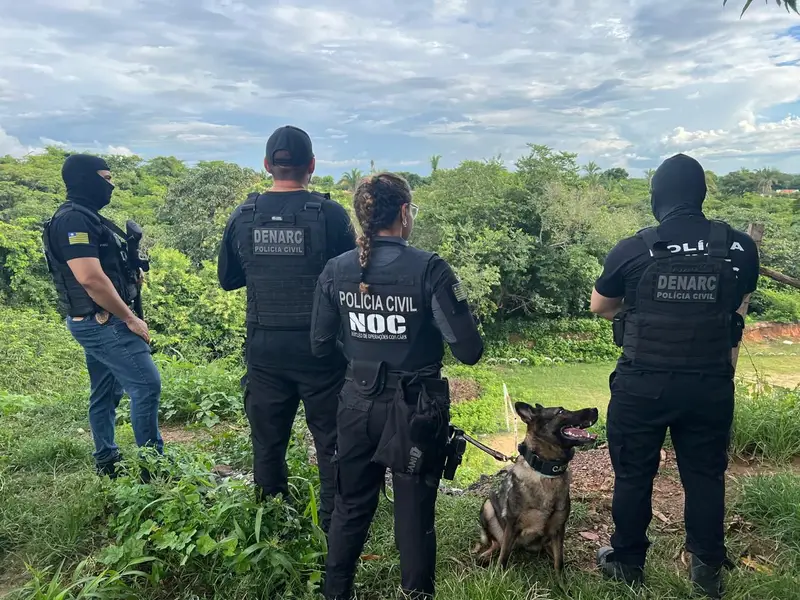 Operação do DENARC em Teresina prende quatro e apreende drogas e armas de fogo