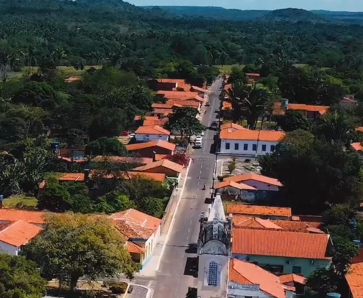 Palmerais
