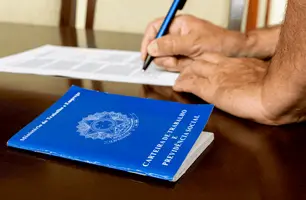 Piauí apresentou saldo de 13.384 empregos entre os meses de janeiro a dezembro de 2024 (Foto: Reprodução)