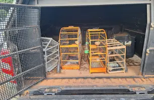 Polícia Civil  prende mandante de homicídio de empresário em Teresina (Foto: Reprodução)