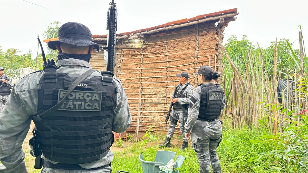 Polícia prende 146 pessoas na Operação Cerco Fechado em diversas cidades do Piauí
