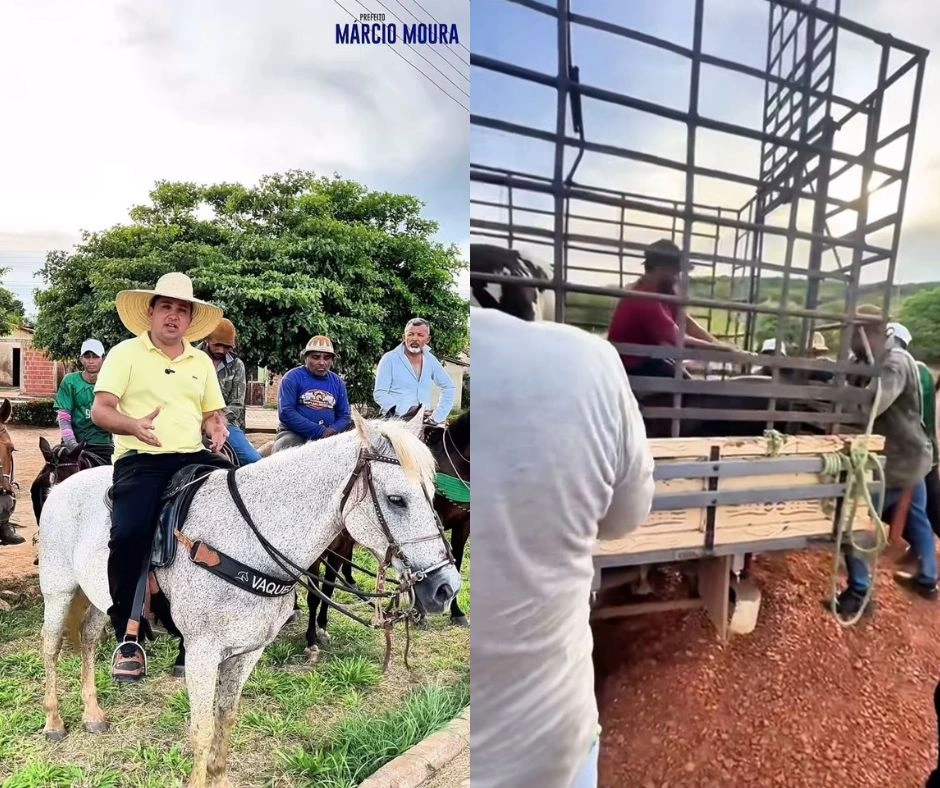 Prefeito Márcio Moura realiza remoção de animais da rua em Simplício Mendes
