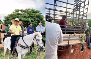 Prefeito Márcio Moura realiza remoção de animais da rua em Simplício Mendes (Foto: Reprodução - Redes sociais)