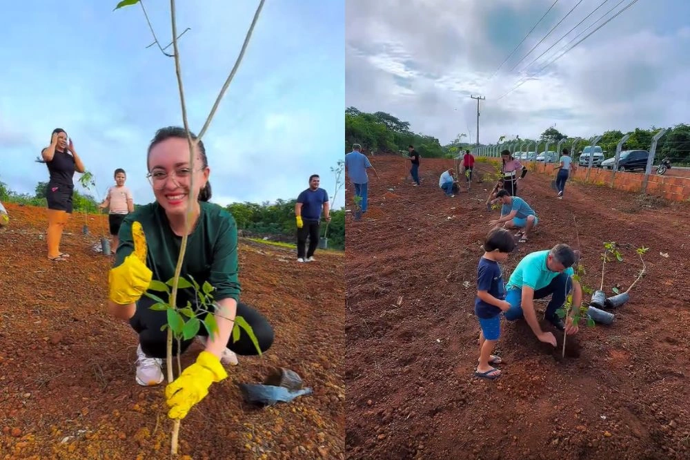 Prefeitura de Caraúbas do Piauí lança projeto para recuperação ambiental