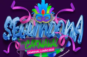 Prefeitura de Demerval Lobão lança identidade visual da Segundona de Carnaval 2025 (Foto: Reprodução)