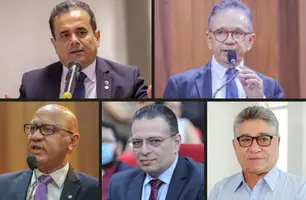 Saiba quem compõe as oito comissões técnicas instaladas pela Alepi (Foto: Reprodução/Internet)