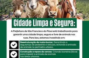 São Francisco do Piauí reforça ações para manter a cidade limpa e segura (Foto: Reprodução - Redes Sociais)