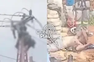 Trabalhadores sofrem descarga elétrica e ficam pendurados em poste no Piauí (Foto: Reprodução/Whatsapp)