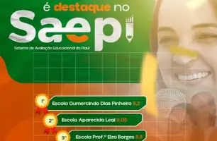 Baixa Grande do Ribeiro conquista prêmio Alfa 10 no Saepi 2024 (Foto: Reprodução)