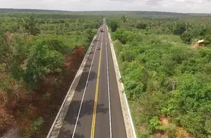 BR-343 (Foto: Reprodução)