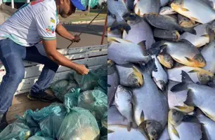 Campo Largo do Piauí distribui uma tonelada de peixes para famílias carentes (Foto: Reprodução)