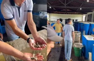 Castelo do Piauí recebe 30 mil alevinos para fortalecer piscicultura local (Foto: Reprodução)