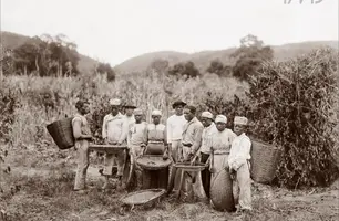 Ceará celebra pioneirismo na abolição da escravidão com feriado da Data Magna (Foto: Arquivo Nacional)