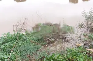 Corpo de homem é encontrado às margens do Rio Poti, na zona Norte de Teresina (Foto: Reprodução)