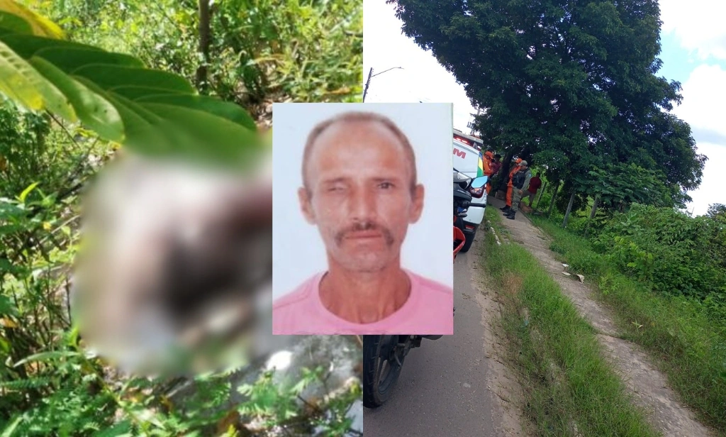 Corpo de homem é encontrado em decomposição em matagal na zona Norte de Teresina