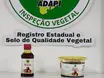 Com certificação, indústria de Doce de Buriti aumenta demanda por produtos