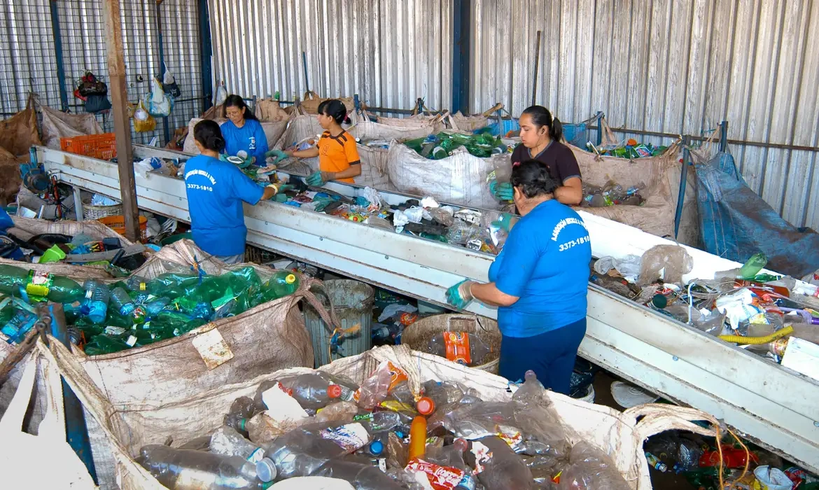 Em dois anos, Brasil aumentou reciclagem de embalagens PET em 14%