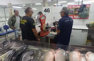 Fiscalização Imepi (Foto: Reprodução)