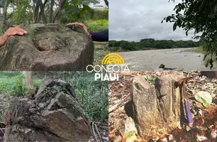 Floresta Fóssil de Teresina (Foto: Conecta Piauí)