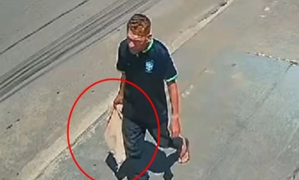 Homem é preso pela segunda vez por jogar gato pela janela