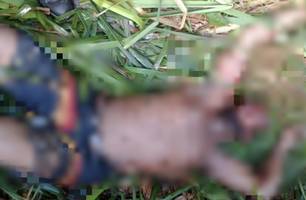Homem é surpreendido por criminosos e morto com vários tiros no rosto em Picos (Foto: Reprodução/Cidadesnanet)