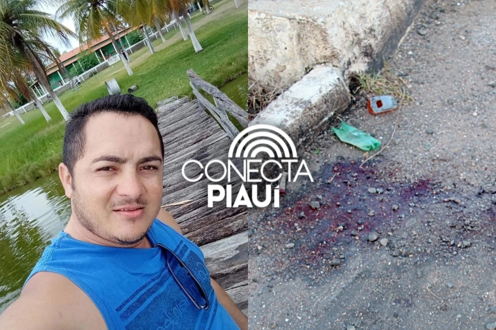 Homem em motocicleta desvia de cachorro, bate contra mureta e morre no Piauí