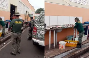 IBAMA-PI intensifica fiscalização com a Operação Piracema para coibir pesca ilegal (Foto: Reprodução)