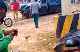 Jardineiro morre e motorista é preso após colisão na BR-343, em Teresina (Foto: Reprodução)