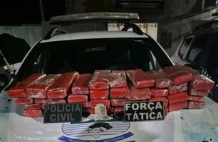 Jovem de 20 anos é preso transportando 50 kg de maconha em ônibus no Piauí (Foto: Reprodução)