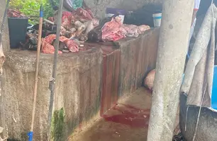 Matadouro de Valença do Piauí (Foto: Reprodução)