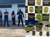 Mulher é presa no Piauí por cultivar mudas de maconha em casa