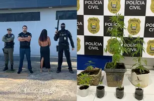 Mulher é presa no Piauí por cultivar mudas de maconha em casa (Foto: Reprodução)