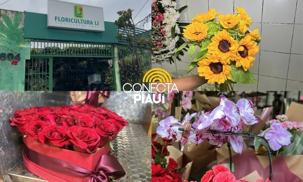 No dia das mulheres, floricultura encanta com diversidades de flores em Teresina
