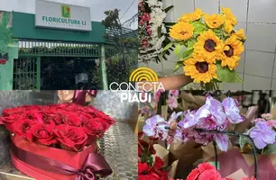 No dia das mulheres, floricultura encanta com diversidades de flores em Teresina (Foto: James Rodrigues/Conecta Piauí)