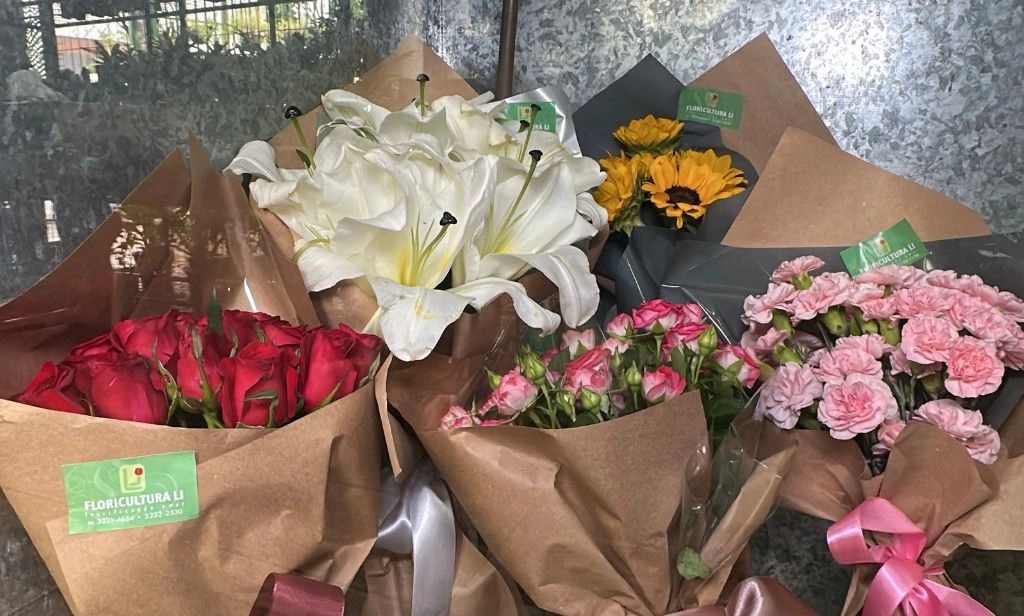 No dia das mulheres, floricultura encanta com diversidades de flores em Teresina
