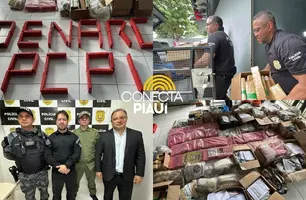 Pacto pela ordem: Denarc incinera quase 1 tonelada de entorpecente em Teresina (Foto: Conecta Piauí)