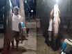 Pescador fisga pirarucu gigante no Rio Parnaíba na região de Uruçuí