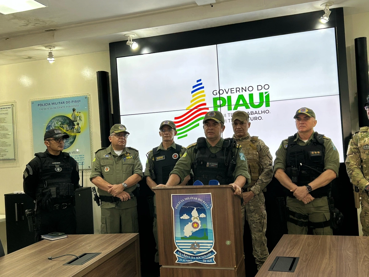 Polícia detalha desarticulação de roça de maconha localizada entre Piauí e Bahia